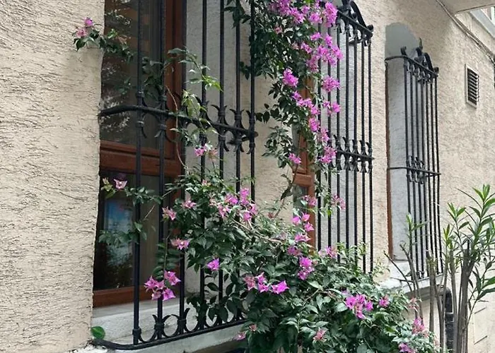 Hotel Orkide Istanbul